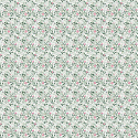 ERBA ROSA 1