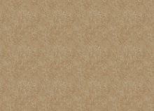 Светостойкие обои Zambaiti Trussardi VIII Z30349