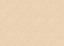 Светостойкие обои Zambaiti Trussardi VIII Z30347